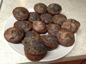 Bluberry Muffins